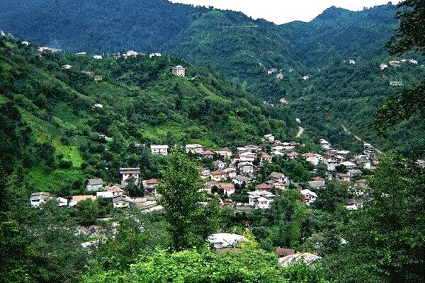 طرح هادی نباید تهدیدی برای اراضی جنگلی و کشاورزی باشد