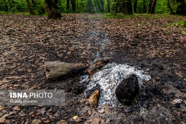 ۹۵درصد آتش سوزی جنگل های گیلان عامل انسانی دارد