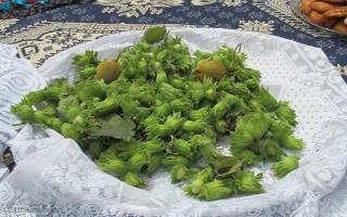 باغات فندق گیلان زیر تیغ تقویت؛ توزیع کود در هفت ماه اول سال رکورد زد