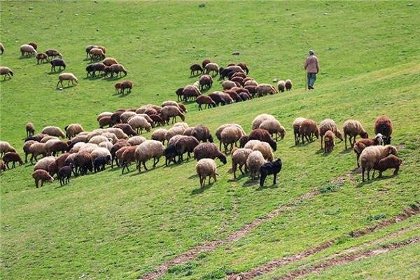 لزوم جداسازی مرتع داران گیلان از خوش نشین ها