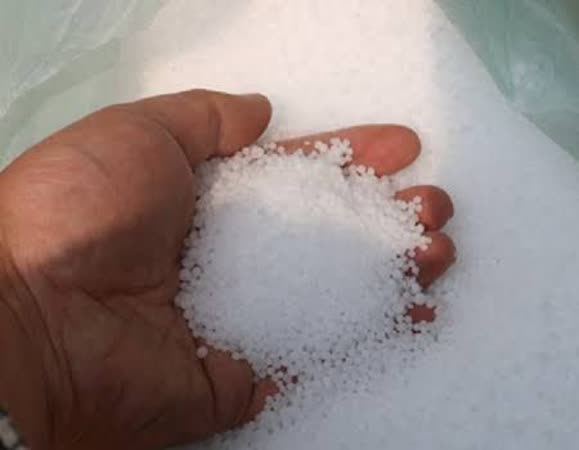 حمایت از کشاورزان سیاهکل با صدور بیش از ۵۳۵۰ حواله الکترونیکی