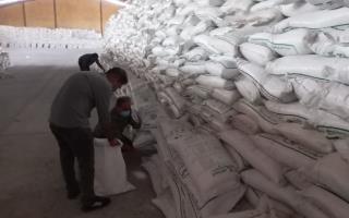 کشاورزان گیلان خوشحال باشند: کود دولتی به اندازه کافی رسید