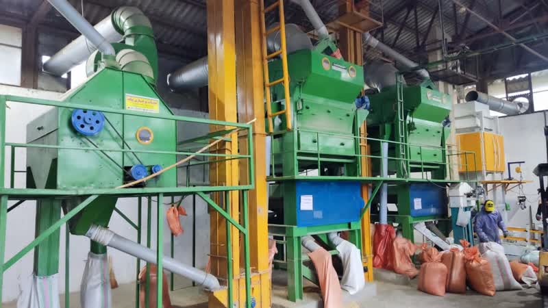 بوجاری بذرهای پایه در گیلان کلید خورد؛ قدردانی مدیر شرکت از عوامل اجرایی