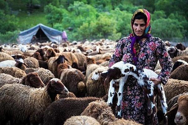 تاثیر آب و راه بر بهبود زندگی عشایر گیلانv