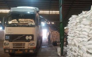 مدیر شرکت خدمات حمایتی کشاورزی گیلان: تأمین کود پتاس به نفع کشاورزان استان است