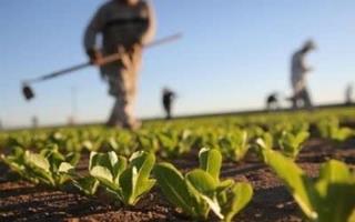 پشتیبانی از کشاورزان گیلان؛ کود مورد نیاز بیش از ۳۱ هزار تن تامین شد